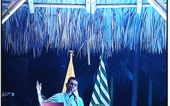 gallery 0